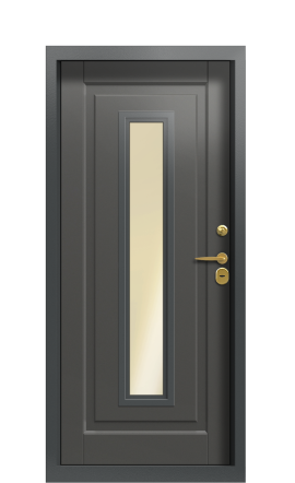Дверь TermoWood Ral 9005 Grey matt 1438