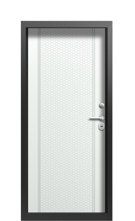 Дверь TermoWood Vesivio Ral 9005 738