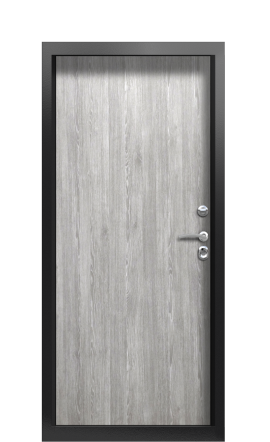 Дверь TermoPlus Ral 9005 Морадо сереберистый 860