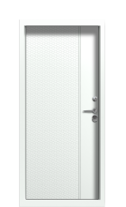 Дверь Termo Ral 9003 Collori Ral 9003 2577 вид внутри