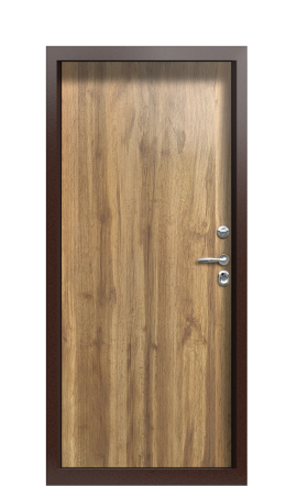 Дверь TermoPlus Ral 1019 Греческий платан 828