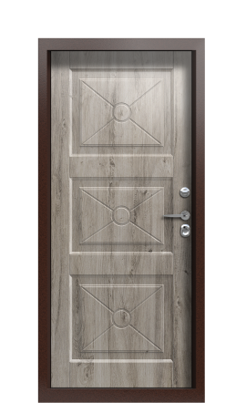 Дверь TermoPlus Bronze Decoline Premium Арктическая береза C003