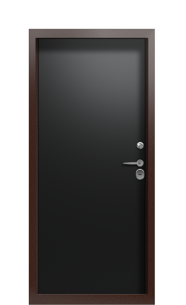 Дверь TermoPlus Bronze Ral 9005 2628