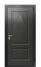 Дверь TermoWood Ral 9005 Графитовое дерево 274 вид снаружи