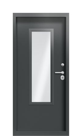 Дверь TermoLight Ral 9005 Гардиан 1212
