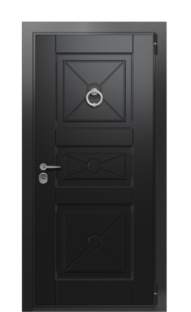 Входная дверь TermoWood Ral 9005 RAL 9005 1245