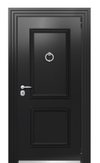 Дверь Termo Ral 9005 Ral 9003 248 вид снаружи