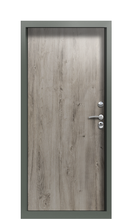 Дверь TermoPlus Ral 6028 Арктическая береза 865