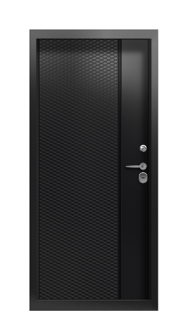 Дверь TermoWood Ral 9005 Collori Ral 9005 2509