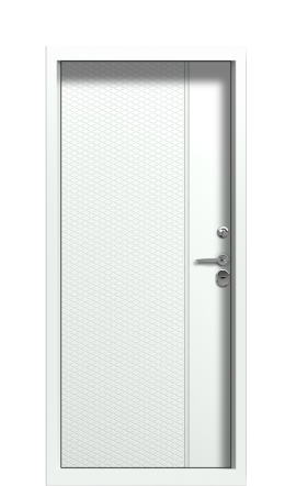 Дверь TermoWood Ral 9003 Collori Ral 9003 2577