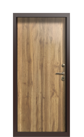 Дверь TermoWood Ral 6028 Арктическая береза 873