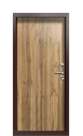 Дверь TermoPlus Ral 1019 Греческий платан 828