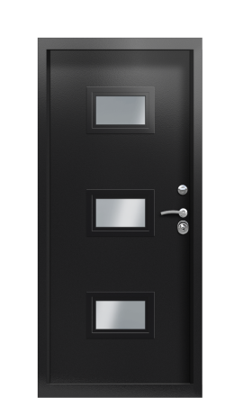 Дверь Termo Ral 9005 Kale 1322