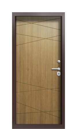 Дверь TermoPlus Ral 3031 Дуб 404