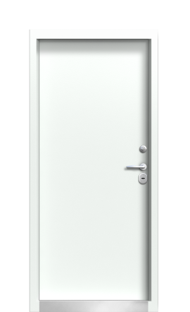 Дверь Termo Ral 9005 Ral 9003 248