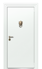 Дверь TermoPlus Ral 9003 Тик 359 вид снаружи