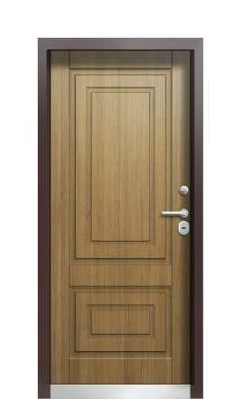 Входная дверь TermoPlus Ral 3031 Дуб 405