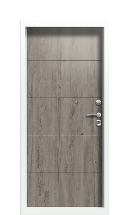 Дверь TermoPlus Ral 6028 Арктическая береза 842