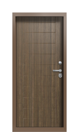 Входная дверь TermoPlus Ral 8025 Палисандр 1163