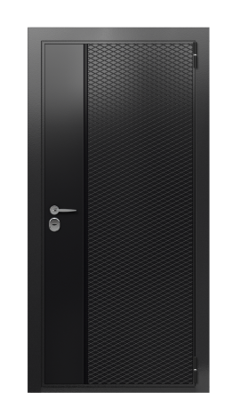 Дверь TermoWood Ral 9005 Collori Ral 9005 2509