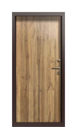 Дверь TermoWood Ral 6028 Арктическая береза 873