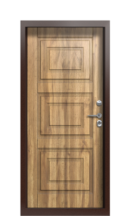 Дверь TermoPlus Ral 6028 Decoline Premium Греческий платан Багет