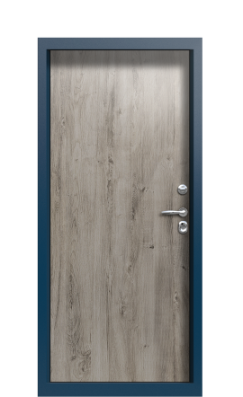 Дверь TermoPlus Ral 6028 Арктическая береза 830