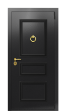 Дверь TermoPlus Ral 9005 Венге 447 вид снаружи