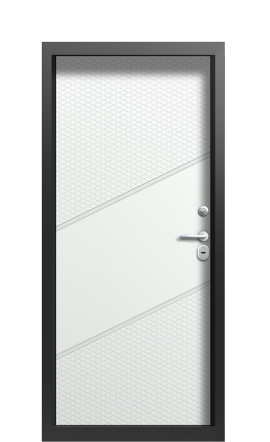 Дверь TermoWood Vesivio Ral 9005 737