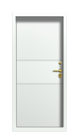 Дверь TermoWood Ral 9005 Securemme 290