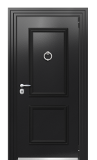 Дверь Termo Ral 9005 Ral 9003 248 вид снаружи