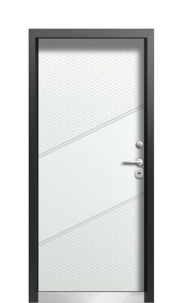 Дверь TermoWood Vesivio Ral 9005 731