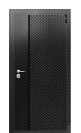 Дверь TermoWood Ral 9005 Securemme 997