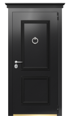 Дверь TermoPlus Ral 9005 Securemme 353 вид снаружи