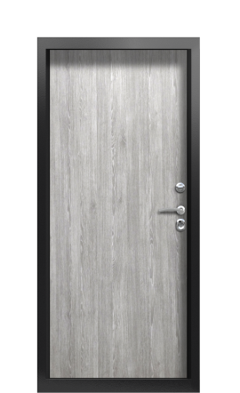 Дверь TermoPlus Ral 9005 Морадо сереберистый 860