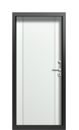 Дверь TermoWood Vesivio Ral 9005 733