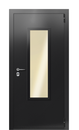 Дверь TermoPlus Ral 9005 Collori Ral 9005 2692