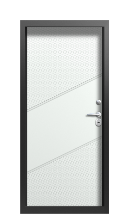 Дверь TermoWood Vesivio Ral 9005 737