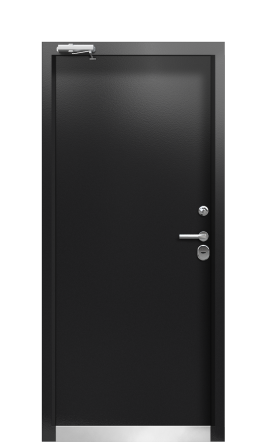 Дверь Termo Ral 3031 Ral 9005 388