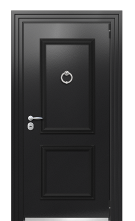 Дверь Termo Ral 9005 Ral 9003 248