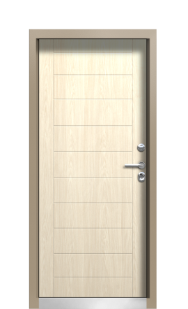 Дверь TermoWood Ral 9005 Морадо Серебристый 45