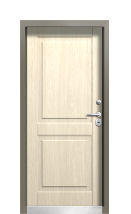Дверь TermoWood Ral 9005 Grey Mat 305
