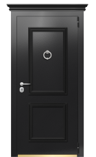 Дверь TermoPlus Ral 9005 Securemme 353 вид снаружи