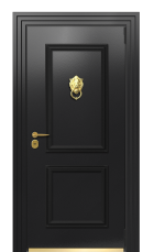 Дверь TermoPlus Ral 9005 Securemme 350 вид снаружи