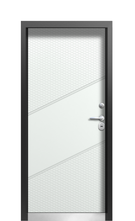 Дверь TermoWood Vesivio Ral 9005 731
