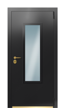 Дверь TermoPlus Ral 9005 Ral 5014 974
