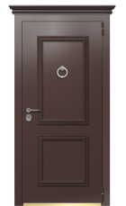 Дверь Termo Ral 8017 Ral 1019 54 вид снаружи
