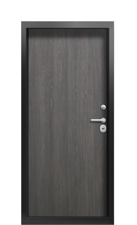 Дверь TermoWood Ral 9005 Морадо черный 1173