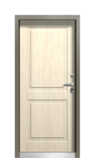 Дверь Termo Ral 9005 Grey Matt 303 вид внутри