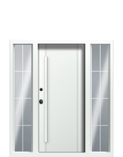 ДверьTermoWood Ral 9005, Ral 9003 вид внутри